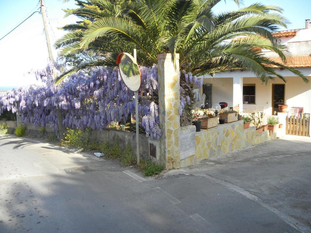 Case Vacanze La Cernia Bruna Isola di Ustica Exteriör bild